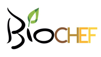 Formação de BioChef