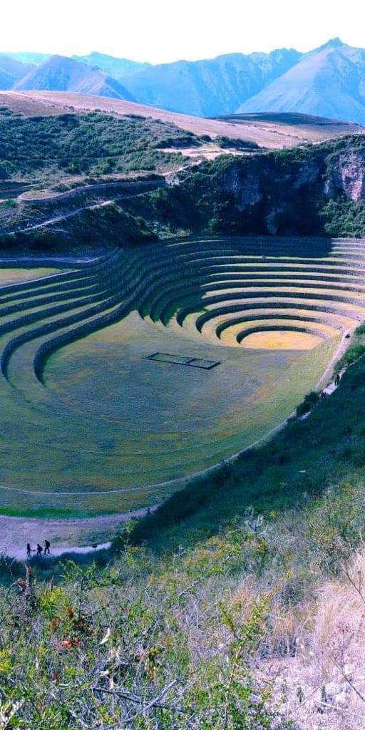 Paisagem desenhada